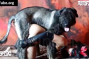 beastiality orgasms,beastiality sex